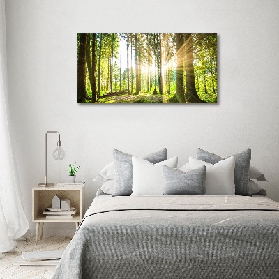 Tableau mural sur toile Forêt au soleil