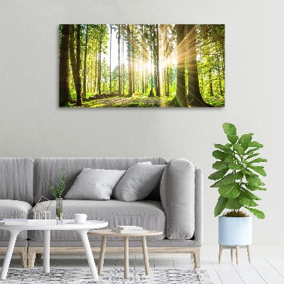 Tableau mural sur toile Forêt au soleil