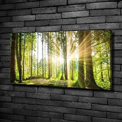 Tableau mural sur toile Forêt au soleil