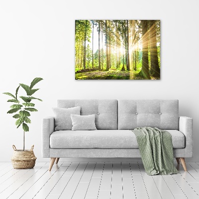 Tableau mural sur toile Forêt au soleil