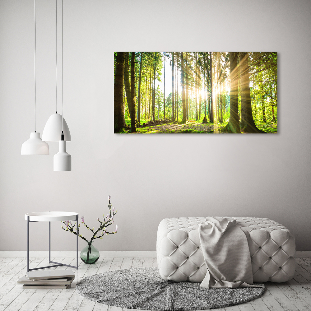 Tableau mural sur toile Forêt au soleil