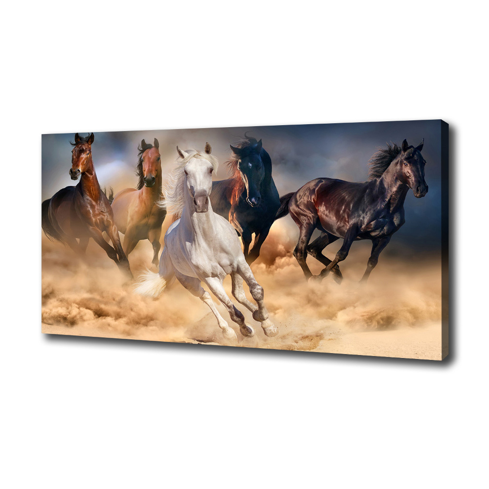 Tableau imprimé sur toile Chevaux de marche