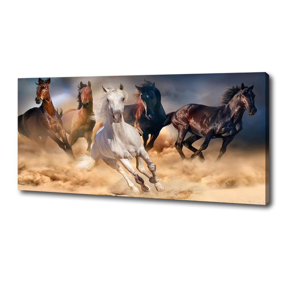 Tableau imprimé sur toile Chevaux de marche