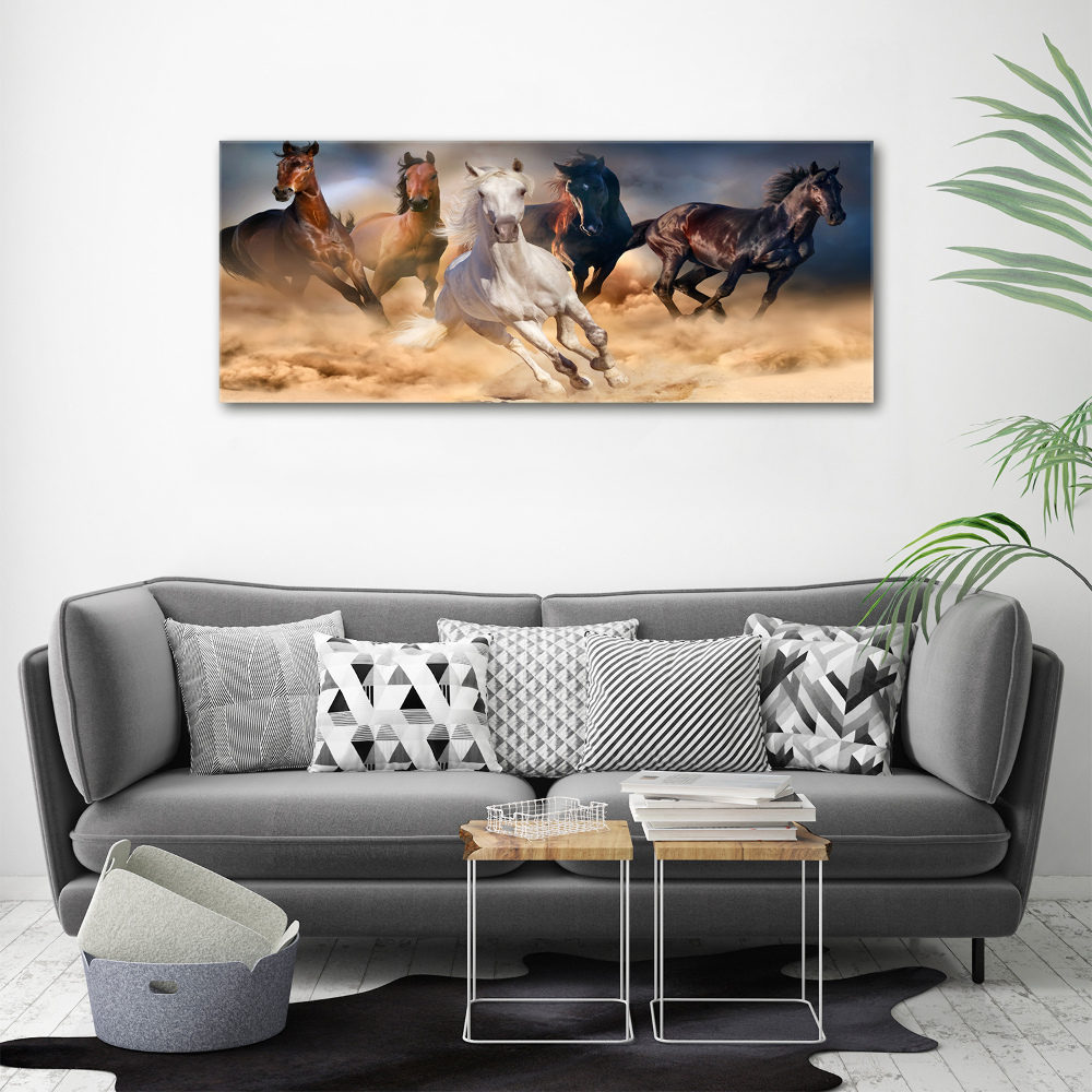 Tableau imprimé sur toile Chevaux de marche