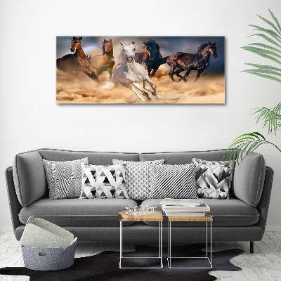 Tableau imprimé sur toile Chevaux de marche