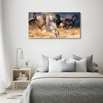 Tableau imprimé sur toile Chevaux de marche