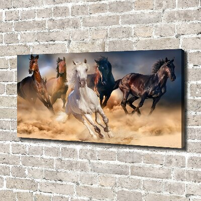 Tableau imprimé sur toile Chevaux de marche