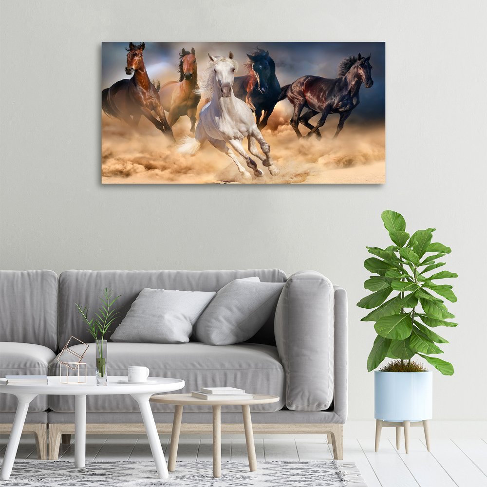 Tableau imprimé sur toile Chevaux de marche