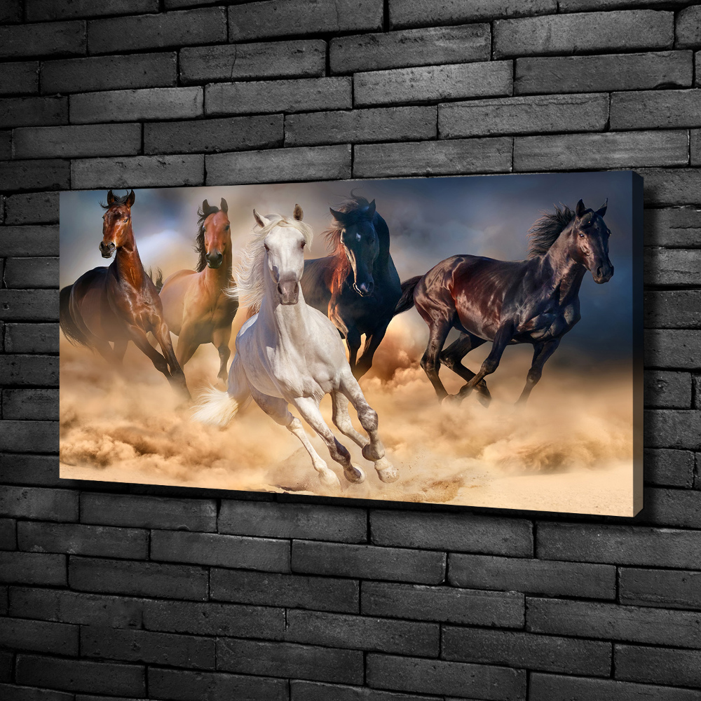 Tableau imprimé sur toile Chevaux de marche