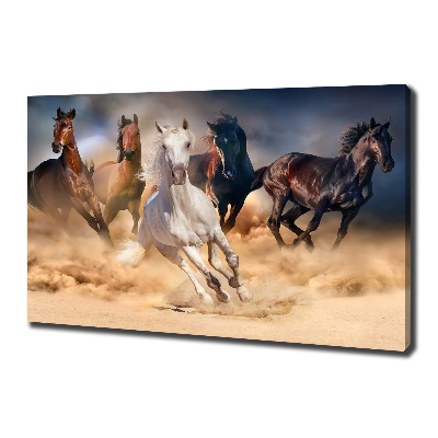 Tableau imprimé sur toile Chevaux de marche