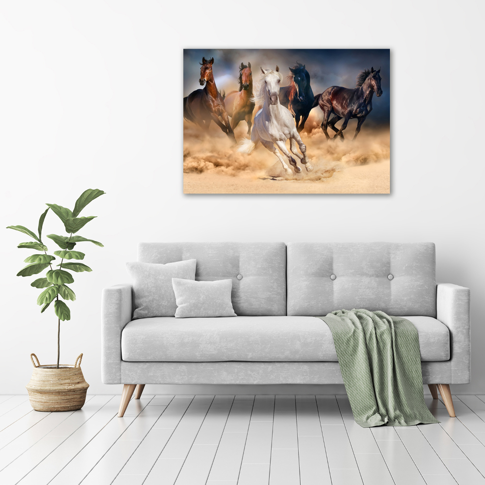 Tableau imprimé sur toile Chevaux de marche