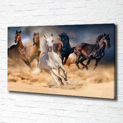 Tableau imprimé sur toile Chevaux de marche