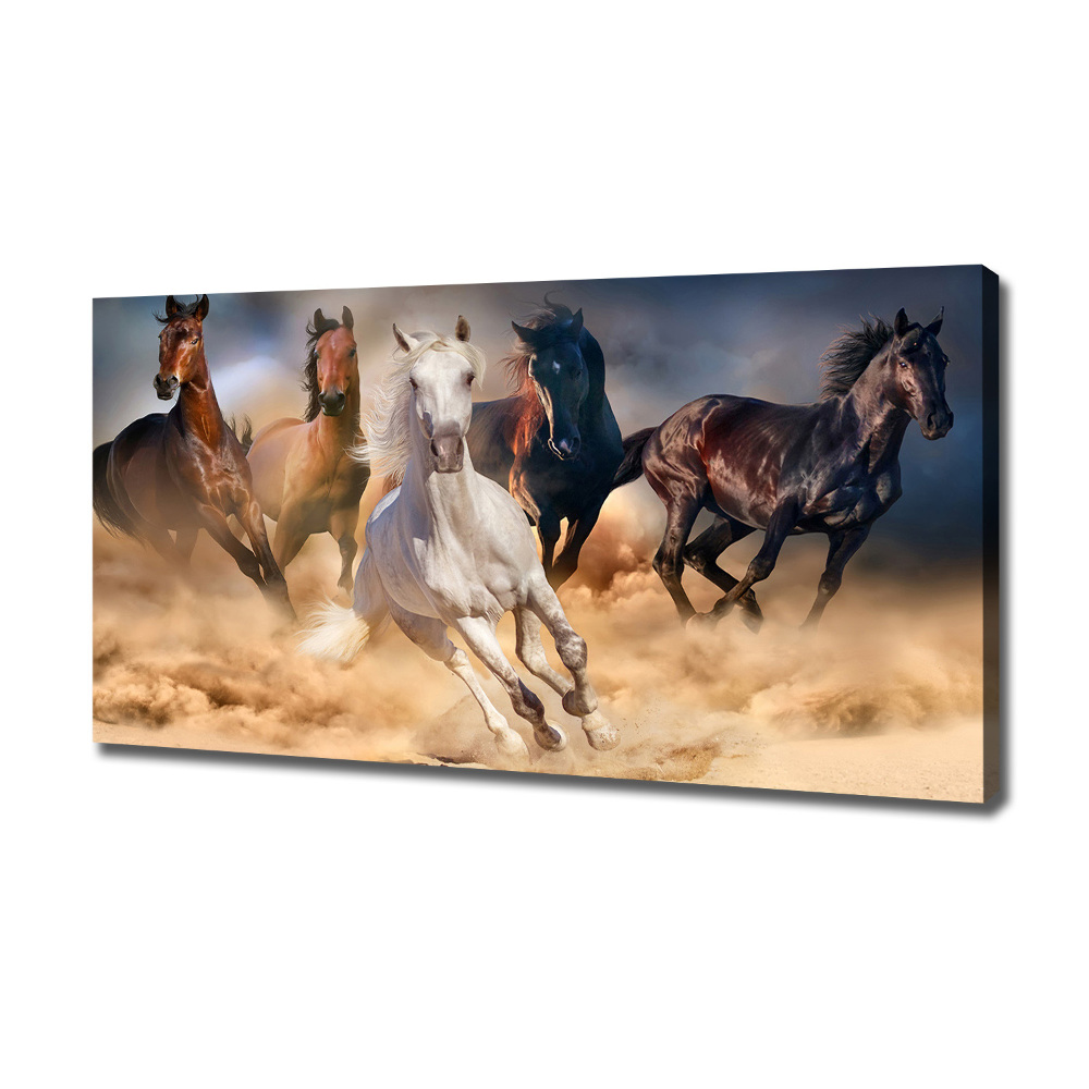 Tableau imprimé sur toile Chevaux de marche