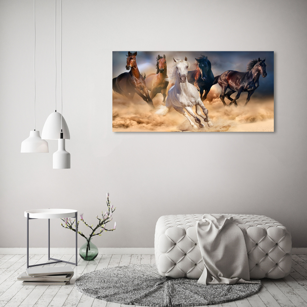 Tableau imprimé sur toile Chevaux de marche