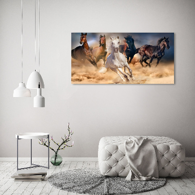 Tableau imprimé sur toile Chevaux de marche