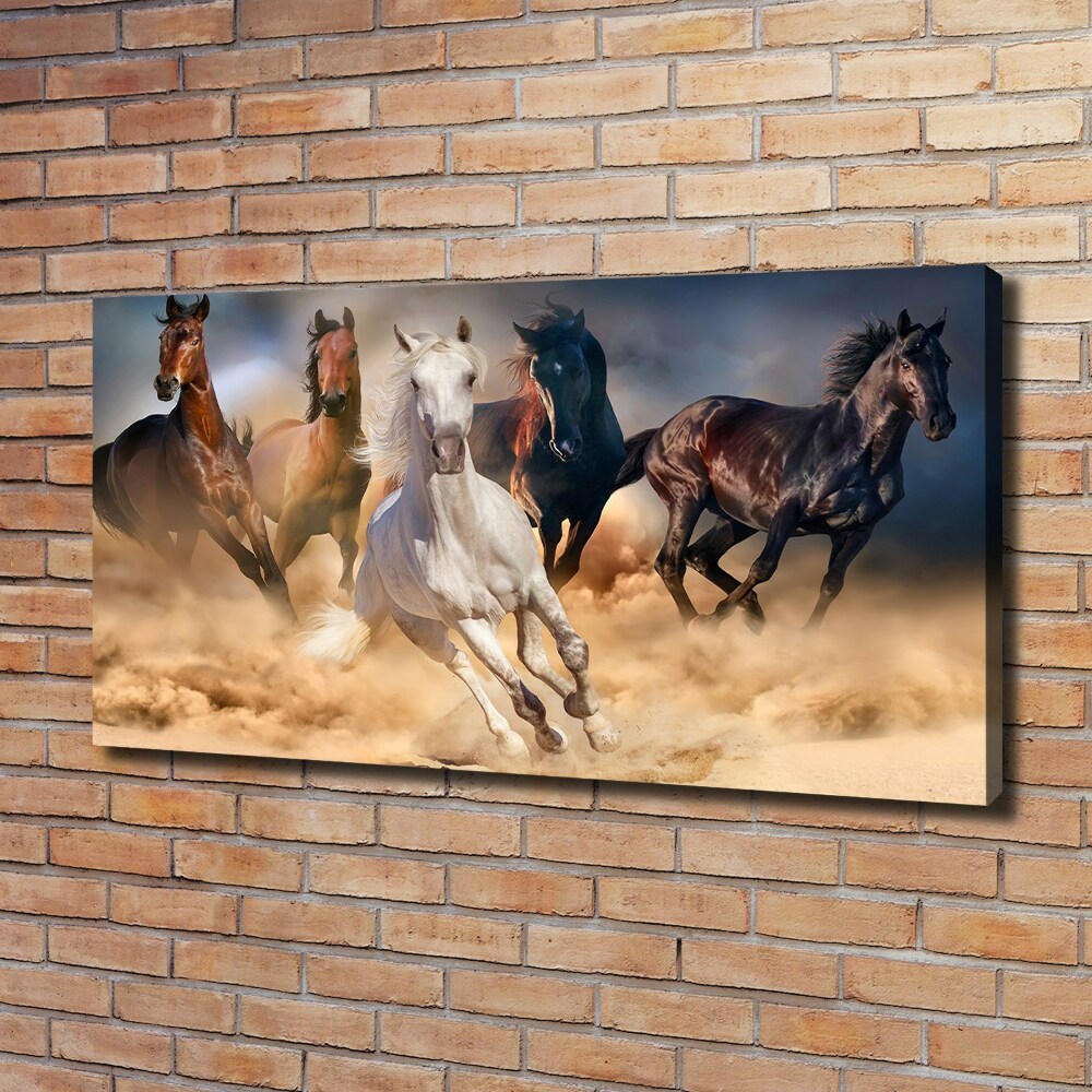 Tableau imprimé sur toile Chevaux de marche