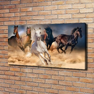 Tableau imprimé sur toile Chevaux de marche