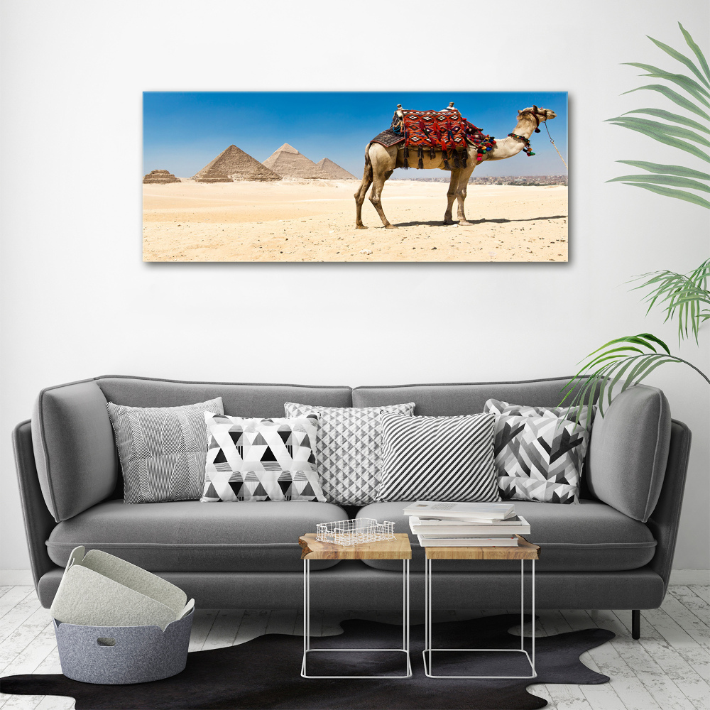 Tableau sur toile Chameau au Caire