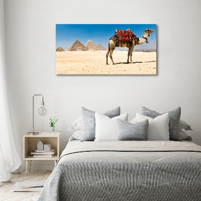 Tableau sur toile Chameau au Caire