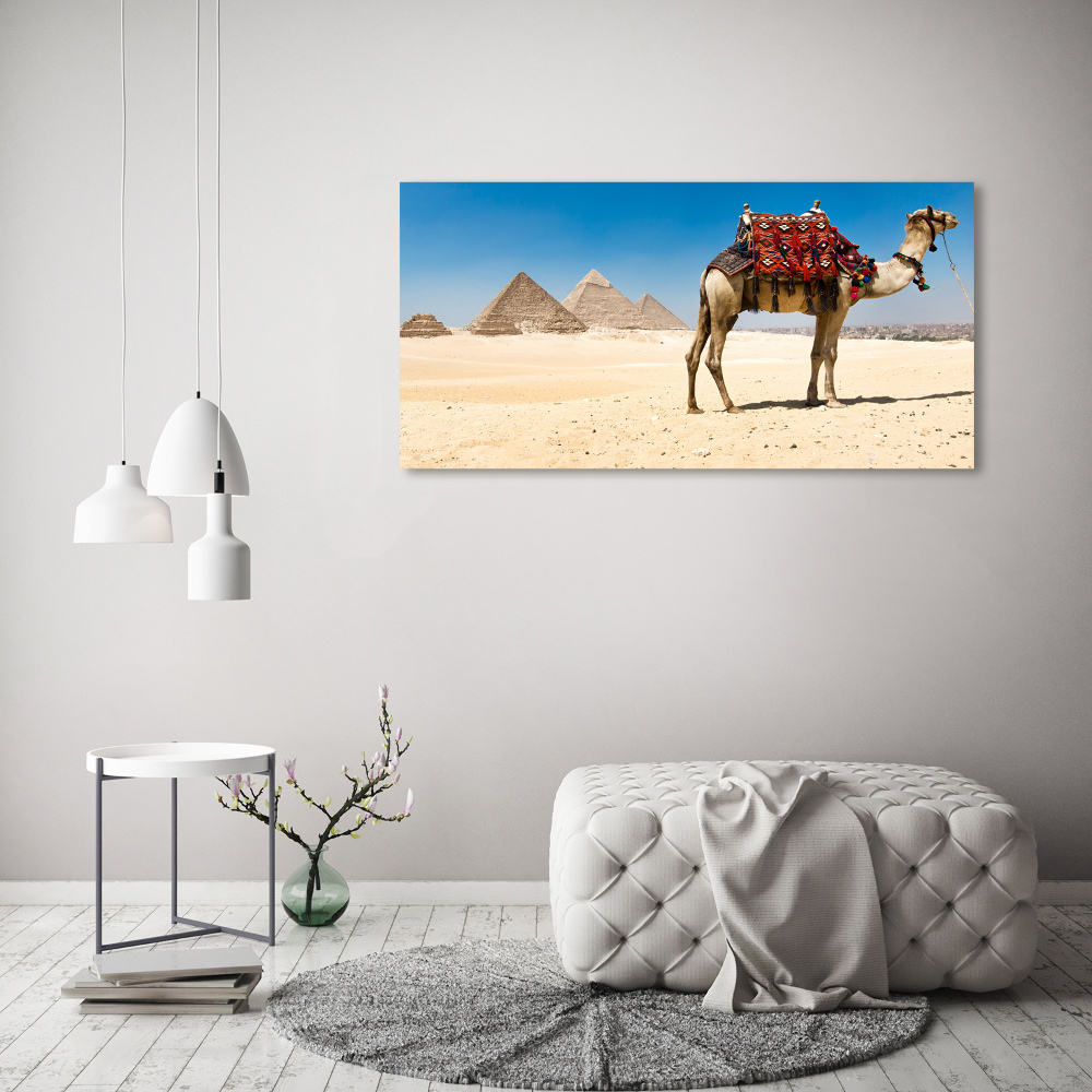 Tableau sur toile Chameau au Caire