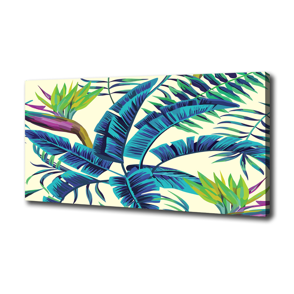 Tableau photo sur toile Feuilles tropicales colorées