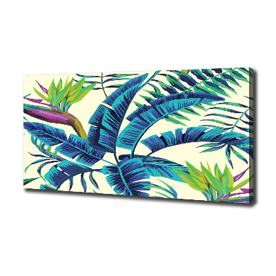 Tableau photo sur toile Feuilles tropicales colorées