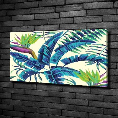 Tableau photo sur toile Feuilles tropicales colorées