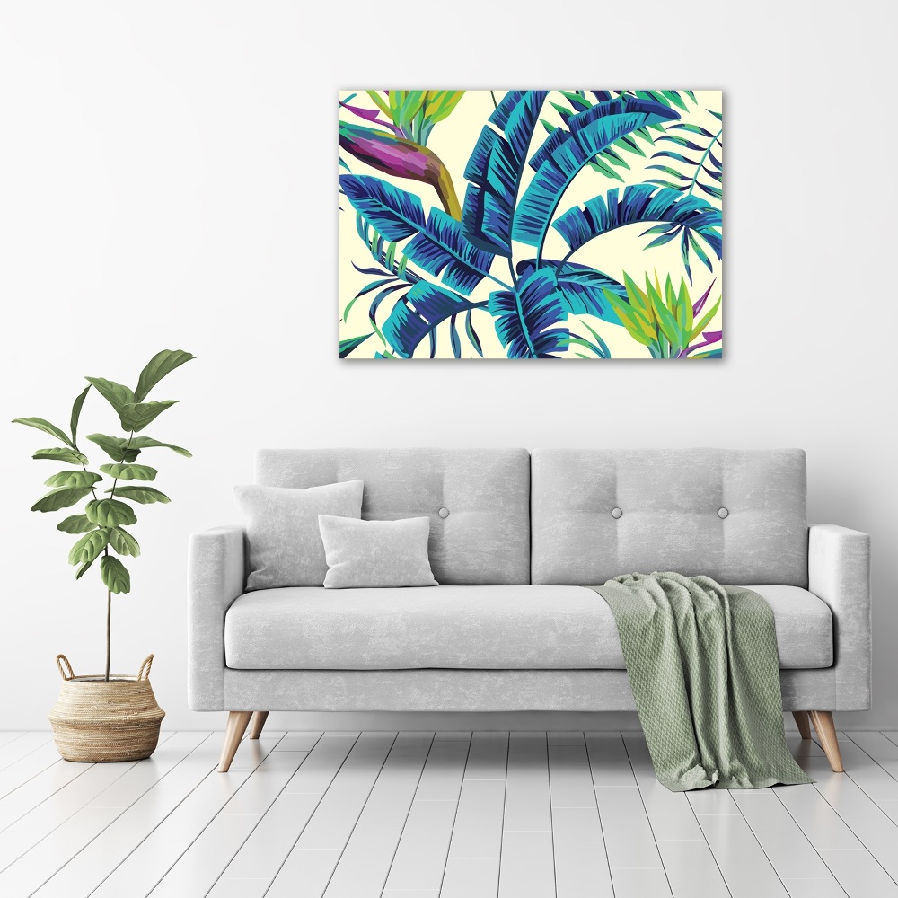 Tableau photo sur toile Feuilles tropicales colorées