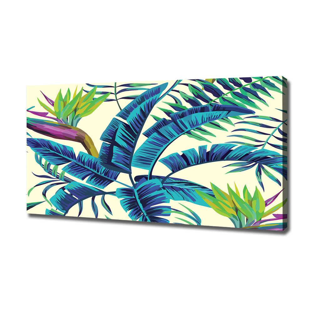 Tableau photo sur toile Feuilles tropicales colorées