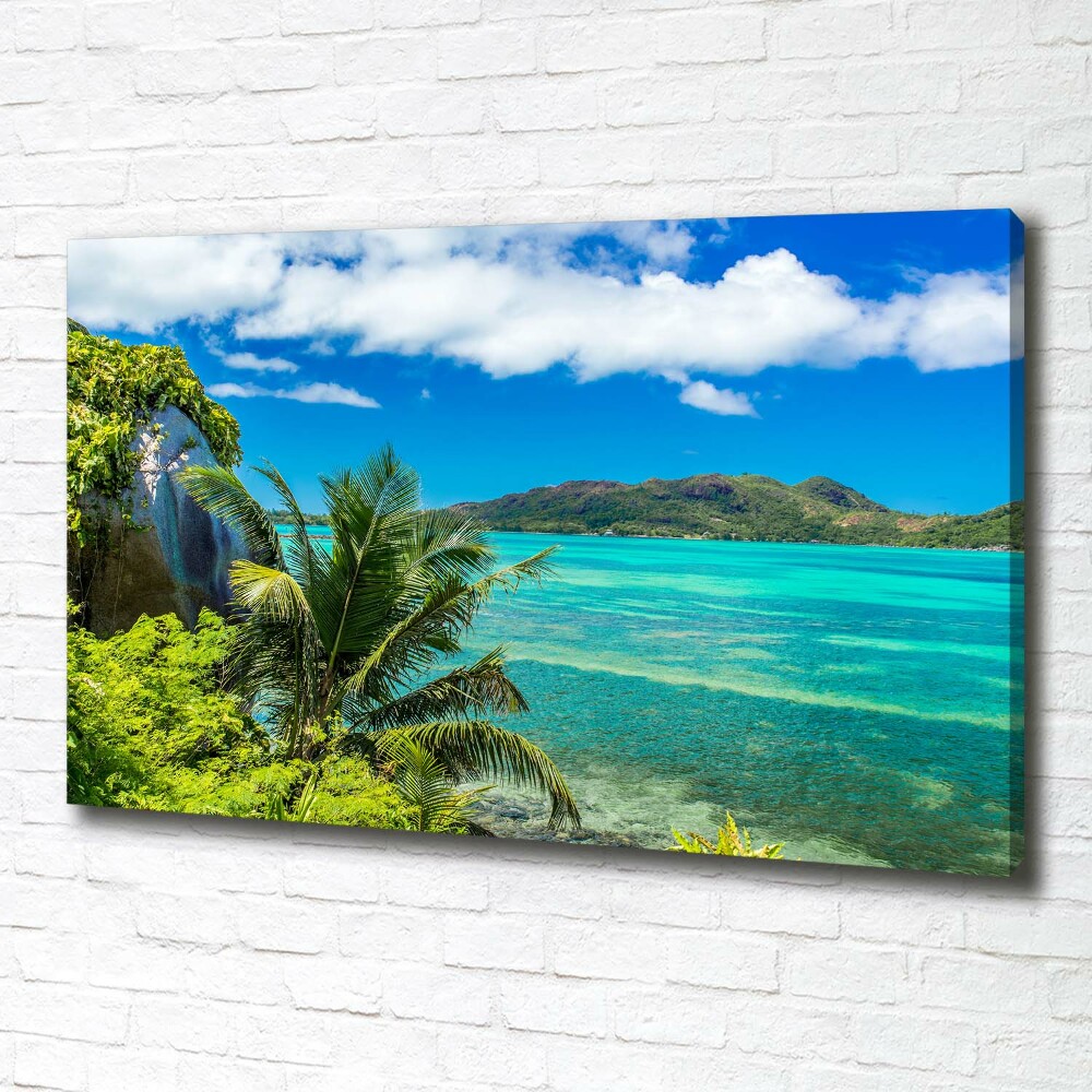 Tableau toile imprimée Côte des Seychelles