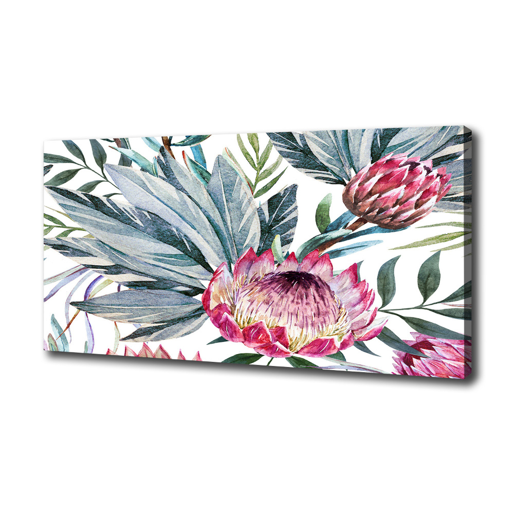 Tableau toile imprimée Protea