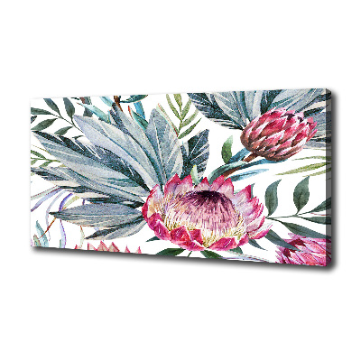 Tableau toile imprimée Protea