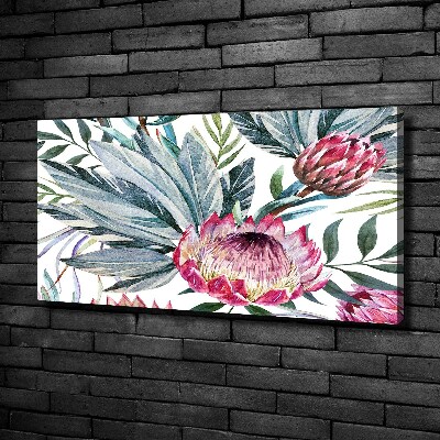 Tableau toile imprimée Protea