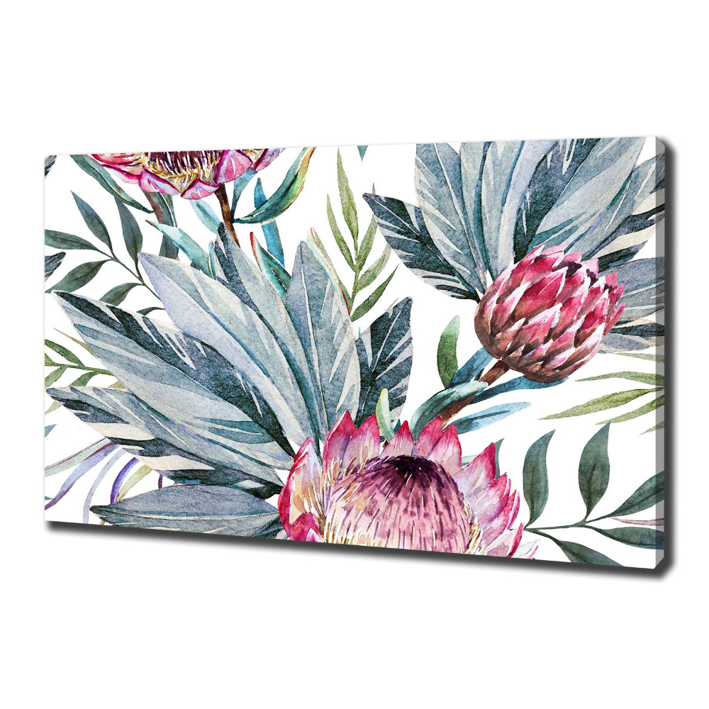 Tableau toile imprimée Protea