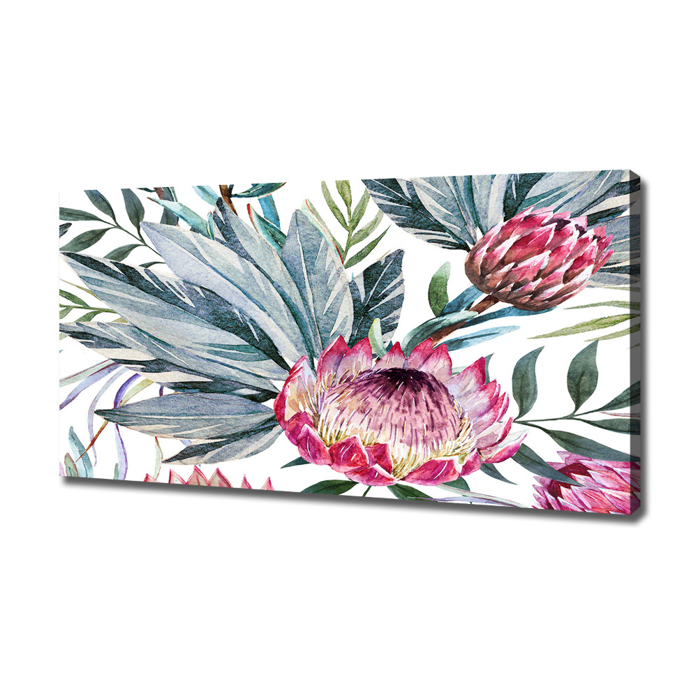 Tableau toile imprimée Protea