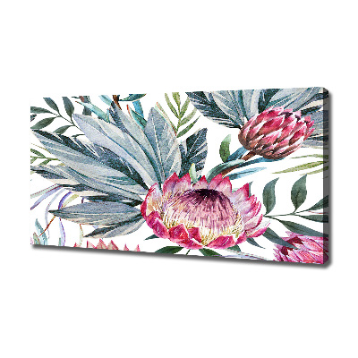 Tableau toile imprimée Protea