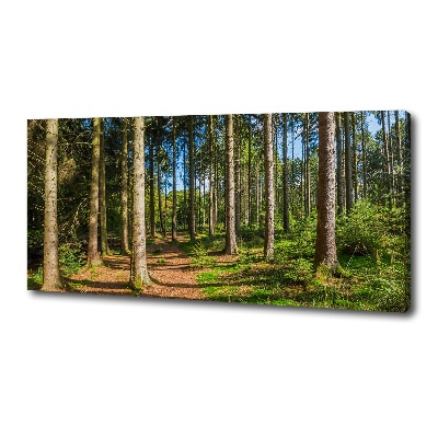 Tableau toile imprimée Panorama d'une forêt