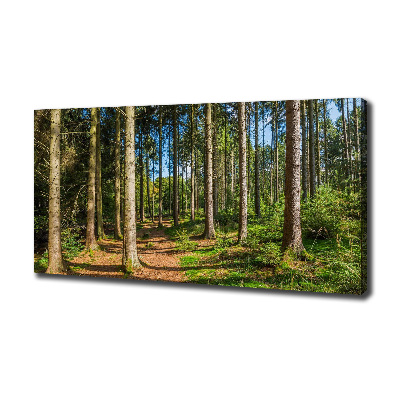 Tableau toile imprimée Panorama d'une forêt