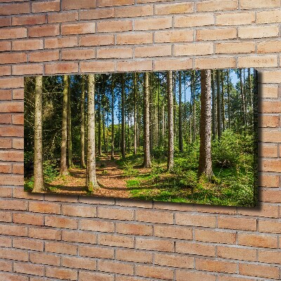 Tableau toile imprimée Panorama d'une forêt