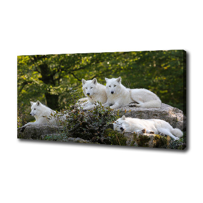 Tableau photo sur toile Rocher du loup blanc