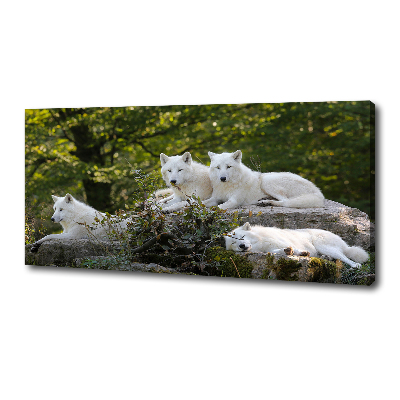 Tableau photo sur toile Rocher du loup blanc