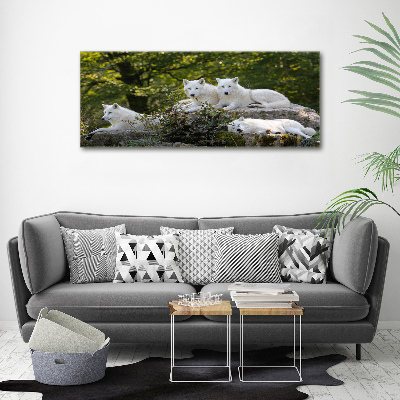 Tableau photo sur toile Rocher du loup blanc