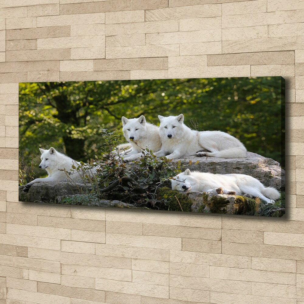 Tableau photo sur toile Rocher du loup blanc