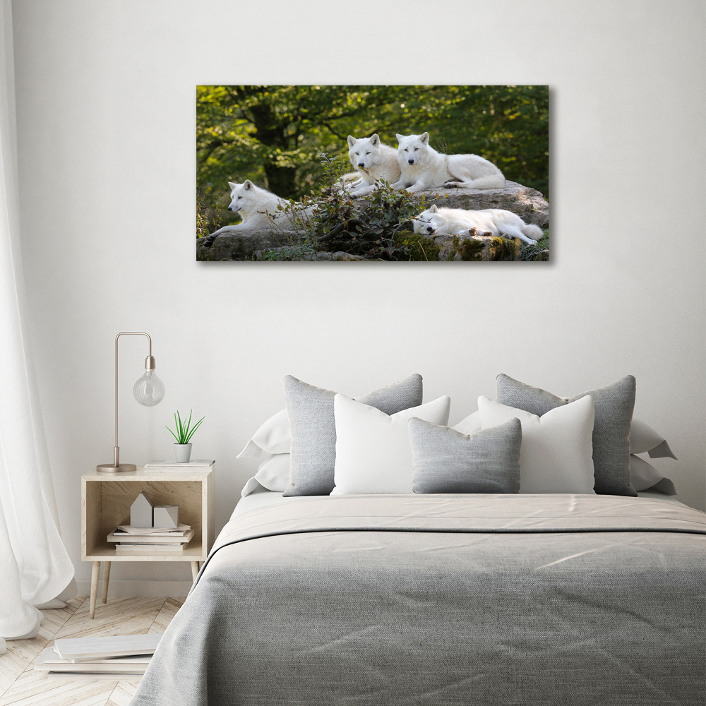 Tableau photo sur toile Rocher du loup blanc