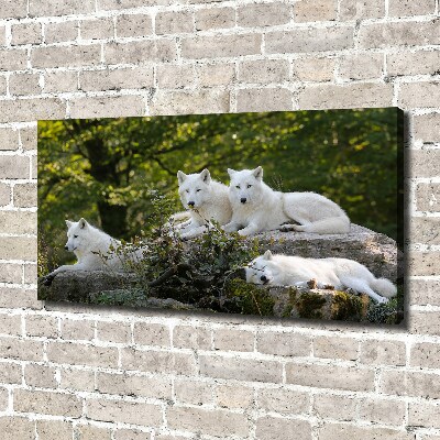 Tableau photo sur toile Rocher du loup blanc