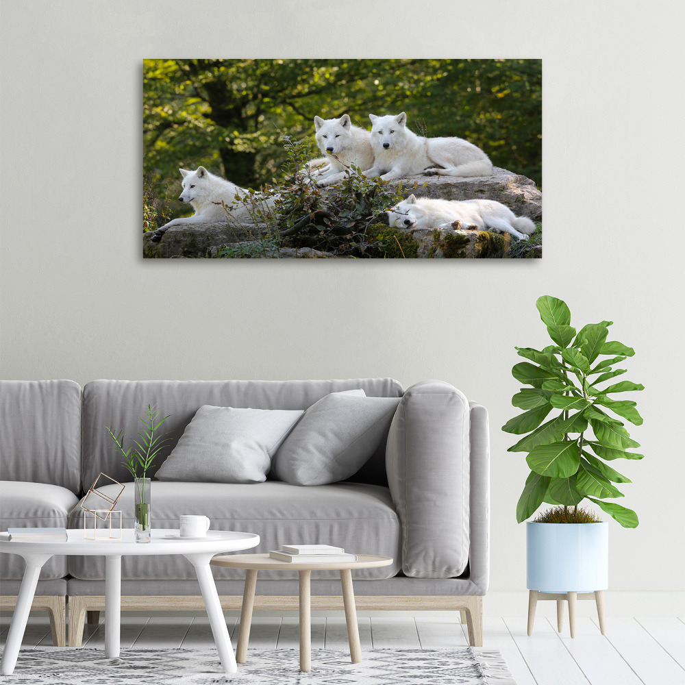 Tableau photo sur toile Rocher du loup blanc