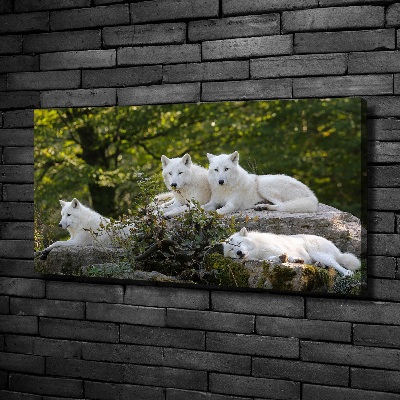 Tableau photo sur toile Rocher du loup blanc