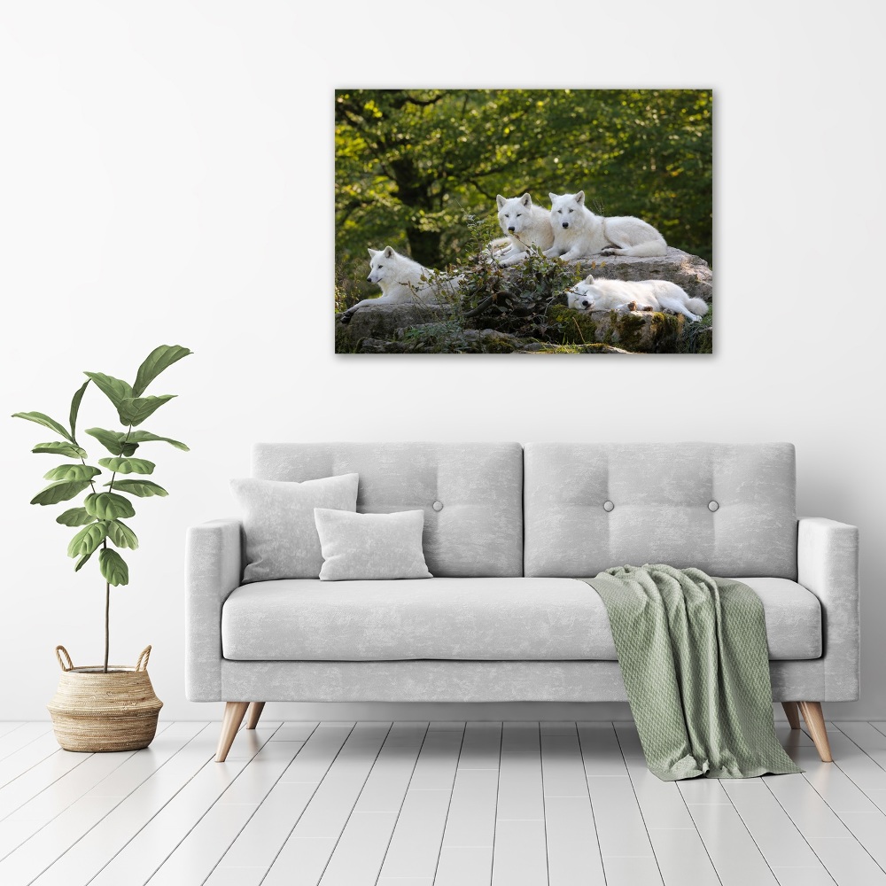 Tableau photo sur toile Rocher du loup blanc