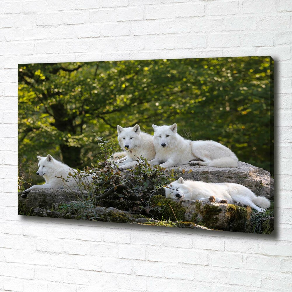 Tableau photo sur toile Rocher du loup blanc