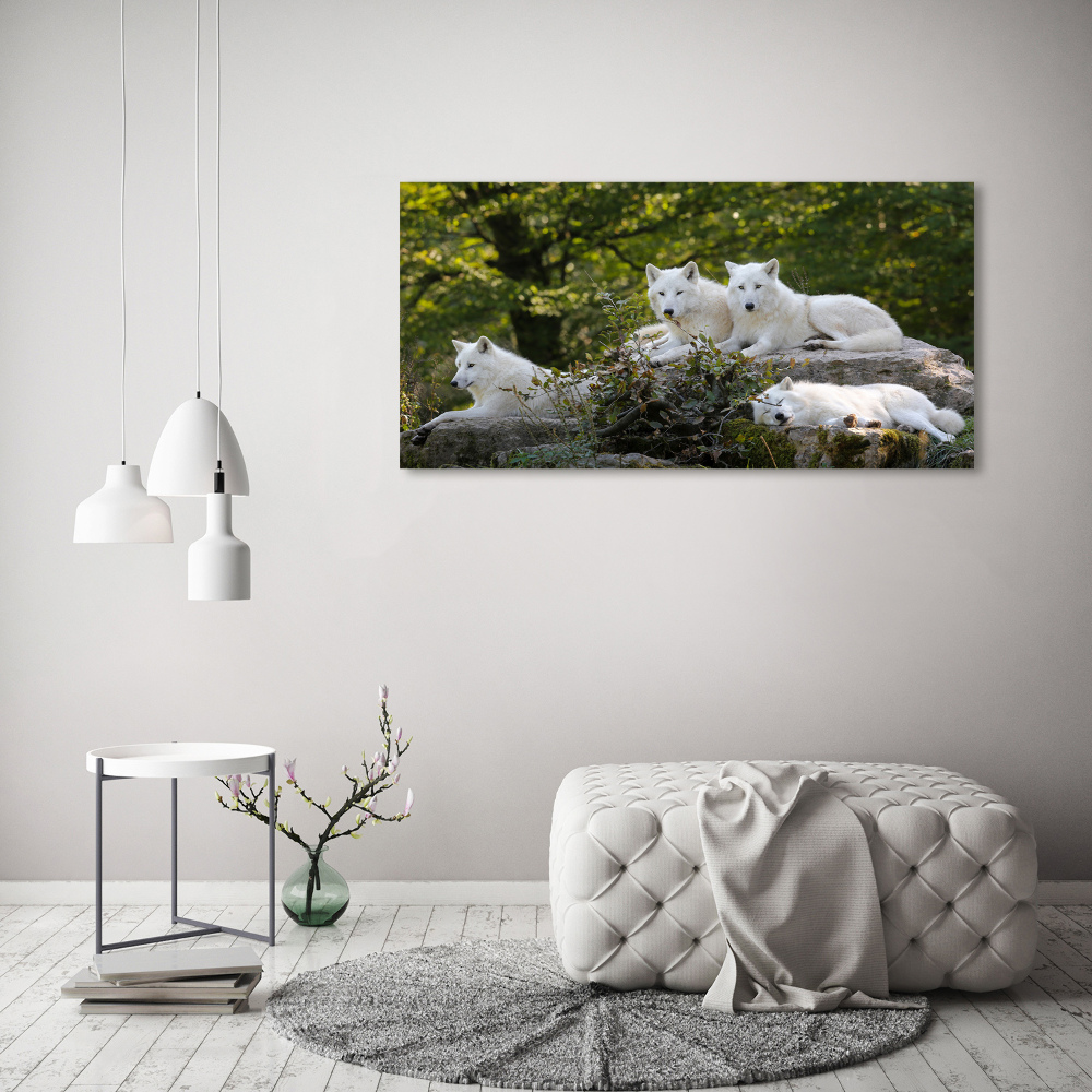 Tableau photo sur toile Rocher du loup blanc